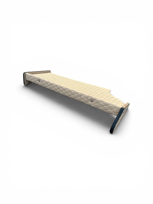 Masă de bord Scania S 2017-2026